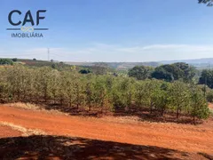 Fazenda / Sítio / Chácara com 4 Quartos à venda, 400m² no Zona Rural, Espírito Santo do Pinhal - Foto 9