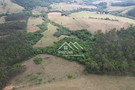 Fazenda / Sítio / Chácara à venda, 190516m² no Zona Rural, Jacuí - Foto 13