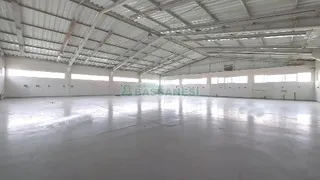 Galpão / Depósito / Armazém para alugar, 800m² no Centro, Flores da Cunha - Foto 16