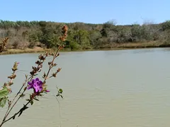 Terreno / Lote / Condomínio à venda, 20000m² no Zona Rural, Funilândia - Foto 15