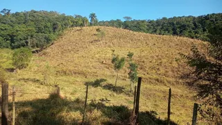 Fazenda / Sítio / Chácara à venda, 193600m² no Centro, São Miguel Arcanjo - Foto 11