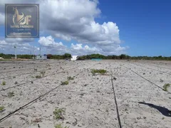 Fazenda / Sítio / Chácara com 3 Quartos à venda, 70000m² no Centro, Ceará Mirim - Foto 9