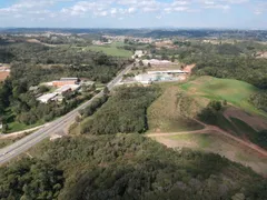 Terreno / Lote Comercial com 1 Quarto à venda, 37458m² no , Campo Magro - Foto 8