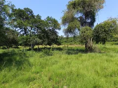 Fazenda / Sítio / Chácara à venda, 75000m² no Ilha de Guaratiba, Rio de Janeiro - Foto 3