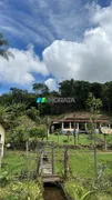 Fazenda / Sítio / Chácara com 2 Quartos à venda, 54m² no Centro, Itaúna - Foto 11