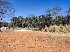 Fazenda / Sítio / Chácara à venda, 135176m² no Chacaras Bom Retiro, Goiânia - Foto 22