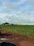 Fazenda / Sítio / Chácara com 2 Quartos à venda, 47730000m² no Centro, Nova Xavantina - Foto 10