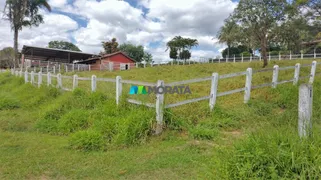 Fazenda / Sítio / Chácara com 1 Quarto à venda, 55m² no Zona Rural, Nova Serrana - Foto 17