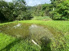 Fazenda / Sítio / Chácara com 2 Quartos à venda, 156m² no Três Riachos, Biguaçu - Foto 40