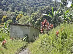 Fazenda / Sítio / Chácara com 1 Quarto à venda, 250m² no Cipó, Embu-Guaçu - Foto 4