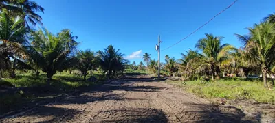 Terreno / Lote Comercial à venda, 180m² no Centro, São Miguel dos Milagres - Foto 7