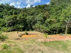 Fazenda / Sítio / Chácara com 4 Quartos à venda, 200m² no Itapeva, Paraibuna - Foto 25
