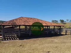 Fazenda / Sítio / Chácara com 1 Quarto à venda, 4694800m² no Zona Rural, Urutaí - Foto 7