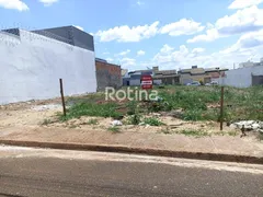 Terreno / Lote / Condomínio à venda, 250m² no Jardim Brasília, Uberlândia - Foto 2