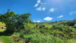 Fazenda / Sítio / Chácara com 3 Quartos à venda, 160000m² no Zona Rural, Lima Duarte - Foto 37