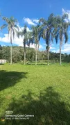 Fazenda / Sítio / Chácara com 3 Quartos à venda, 5400m² no Santa Cruz, Juiz de Fora - Foto 15