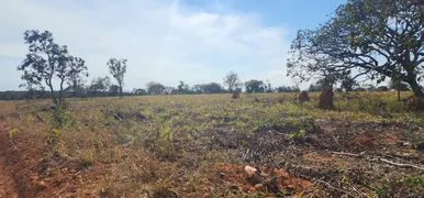 Fazenda / Sítio / Chácara à venda, 20000m² no Zona Rural, Baldim - Foto 5