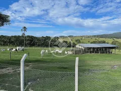 Fazenda / Sítio / Chácara com 4 Quartos à venda, 7m² no Centro, Anicuns - Foto 28