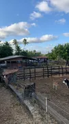 Fazenda / Sítio / Chácara com 3 Quartos à venda, 30000m² no Centro, Ceará Mirim - Foto 7