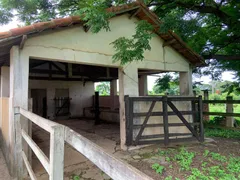 Fazenda / Sítio / Chácara com 2 Quartos à venda, 150m² no Distrito Industrial II Luiz Torrani, Mogi Mirim - Foto 10