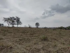 Fazenda / Sítio / Chácara à venda, 31000m² no Zona Rural, Porangaba - Foto 14