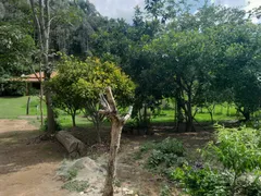 Fazenda / Sítio / Chácara com 3 Quartos à venda, 1600m² no Centro, Marmelópolis - Foto 9