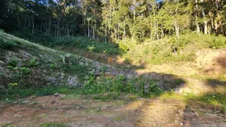 Terreno / Lote / Condomínio à venda, 6000m² no Três Córregos, Teresópolis - Foto 7