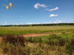Fazenda / Sítio / Chácara à venda, 6350000m² no Centro, Nova Xavantina - Foto 5