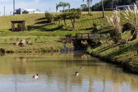 Casa de Condomínio com 4 Quartos à venda, 459m² no Pedancino, Caxias do Sul - Foto 45