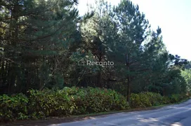 Fazenda / Sítio / Chácara à venda, 82000m² no Mato Queimado, Gramado - Foto 2