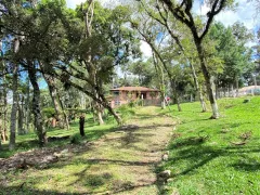 Fazenda / Sítio / Chácara com 4 Quartos à venda, 8000m² no Faxina, São José dos Pinhais - Foto 27