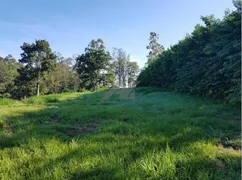 Terreno / Lote / Condomínio à venda, 20000m² no Jardim Martinelli, Campinas - Foto 4