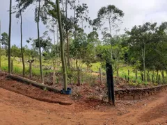 Terreno / Lote / Condomínio à venda, 12000m² no Serrinha, Bragança Paulista - Foto 8