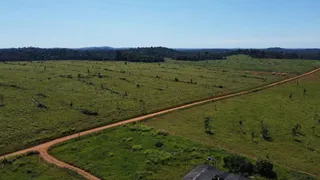 Fazenda / Sítio / Chácara com 5 Quartos à venda, 94000m² no , Rondolândia - Foto 4