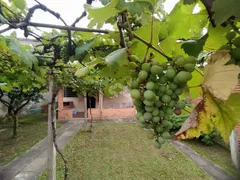 Casa com 3 Quartos à venda, 100m² no São João, Porto Alegre - Foto 17