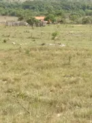 Fazenda / Sítio / Chácara à venda no Zona Rural, Heitoraí - Foto 14