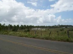 Terreno / Lote / Condomínio à venda, 50000m² no Piau, Tibau do Sul - Foto 5