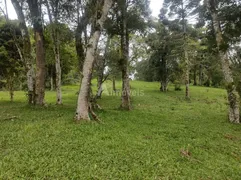 Terreno / Lote / Condomínio à venda, 9675m² no , Campo Alegre - Foto 6