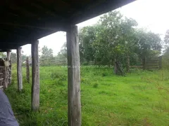 Fazenda / Sítio / Chácara com 1 Quarto à venda, 80000000m² no Zona Rural, Itiquira - Foto 10
