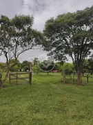 Fazenda / Sítio / Chácara com 3 Quartos à venda, 10m² no Centro, Iguaraçu - Foto 8