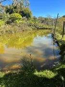 Fazenda / Sítio / Chácara com 3 Quartos à venda, 4000m² no Zona Rural, Itatiaiuçu - Foto 18