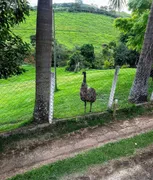 Fazenda / Sítio / Chácara com 2 Quartos à venda, 1299m² no Centro, Cambuí - Foto 11