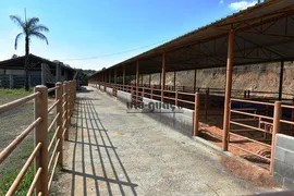 Fazenda / Sítio / Chácara com 5 Quartos à venda, 1258400m² no , Porto Feliz - Foto 19