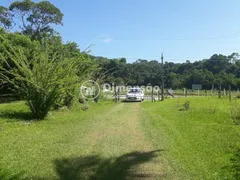 Terreno / Lote / Condomínio à venda, 50922m² no Ratones, Florianópolis - Foto 17
