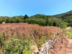 Fazenda / Sítio / Chácara com 3 Quartos à venda, 184m² no Linha Temeraria, Nova Petrópolis - Foto 4