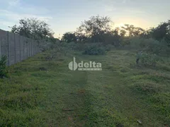 Fazenda / Sítio / Chácara à venda, 5000m² no Panorama, Uberlândia - Foto 2