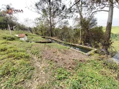 Fazenda / Sítio / Chácara com 6 Quartos à venda, 250m² no Zona Rural, Artur Nogueira - Foto 30