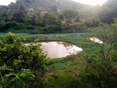 Fazenda / Sítio / Chácara com 6 Quartos à venda no Centro, Cabo de Santo Agostinho - Foto 4