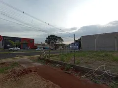 Terreno / Lote / Condomínio à venda, 398m² no Jardim São Francisco, Maringá - Foto 3