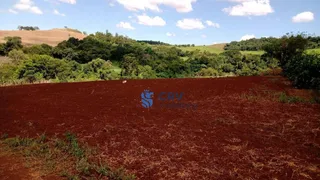 Fazenda / Sítio / Chácara com 3 Quartos à venda, 72600m² no Lerroville, Londrina - Foto 3